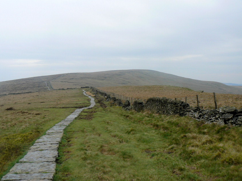 The Tors The Tors